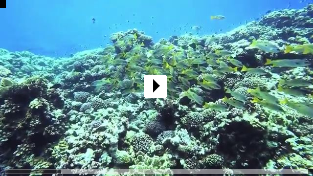Zum Video: Blauer Ozean - Grne Ostsee 3D