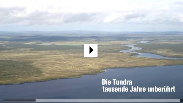 Zum Video: Die Hter der Tundra