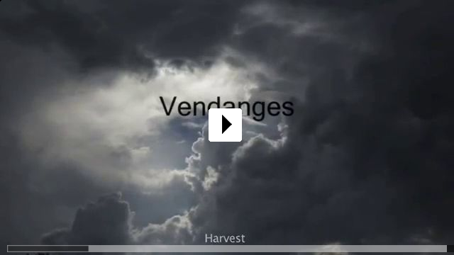 Zum Video: Von Trauben und Menschen