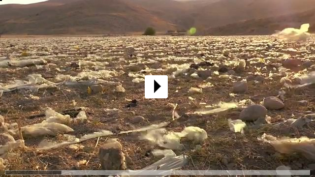 Zum Video: The Fading Valley