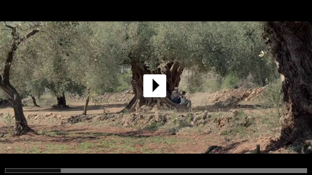 Zum Video: Der Olivenbaum
