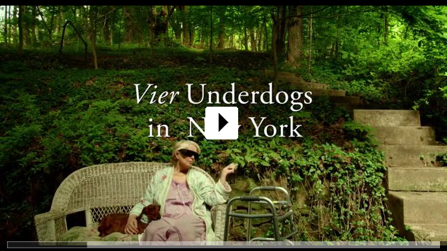Zum Video: Wiener Dog