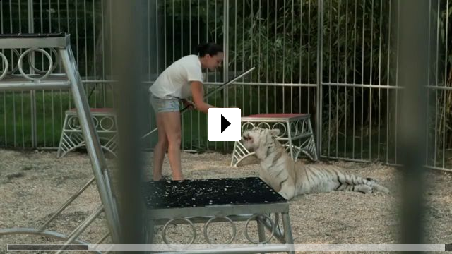 Zum Video: Wild Women: Gentle Beasts