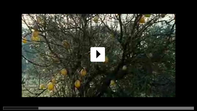 Zum Video: Lemon Tree