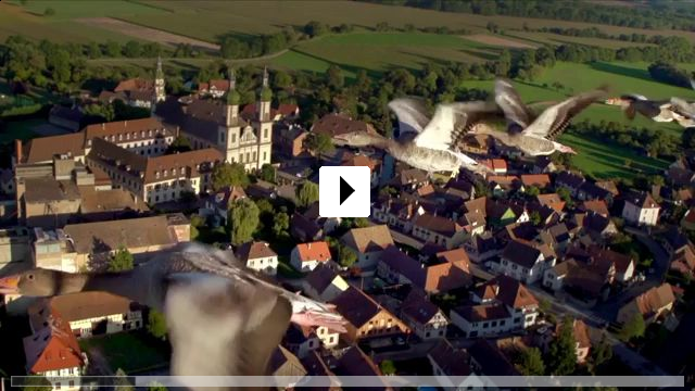 Zum Video: Wildes Frankreich