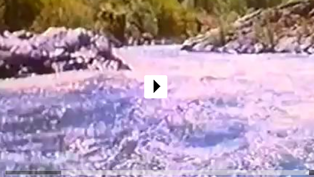 Zum Video: Am Wilden Fluss