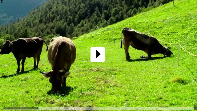 Zum Video: Das System Milch