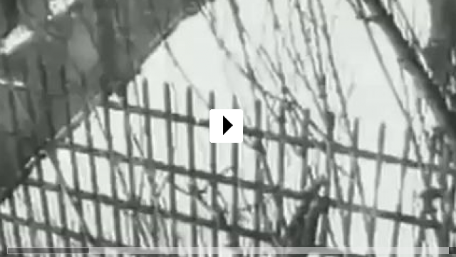 Zum Video: Der Gefangene von Alcatraz