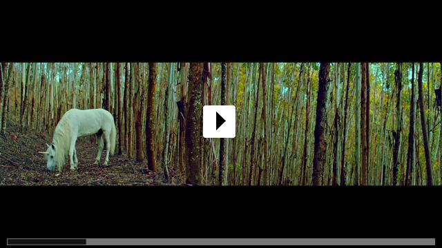 Zum Video: Unicorn