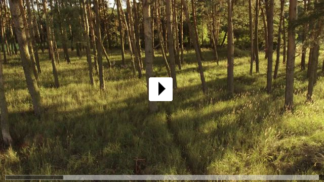 Zum Video: Auf der Jagd - Wem gehrt die Natur?
