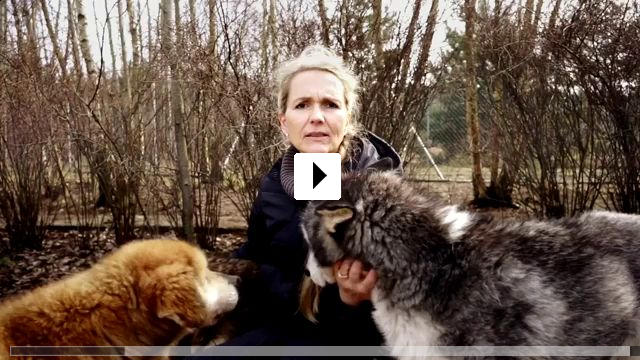 Zum Video: Citizen Animal