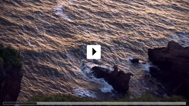Zum Video: Seestck
