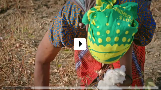 Zum Video: Fair Traders