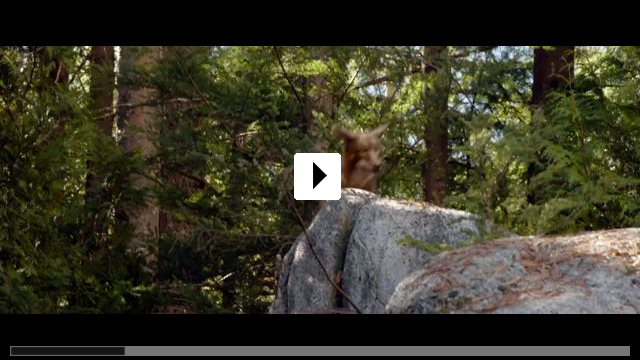 Zum Video: Die unglaublichen Abenteuer von Bella
