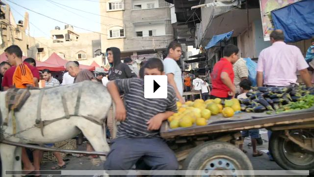 Zum Video: Gaza