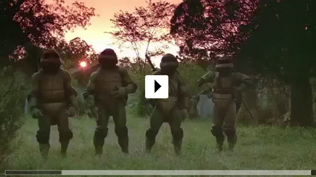 Zum Video: Turtles