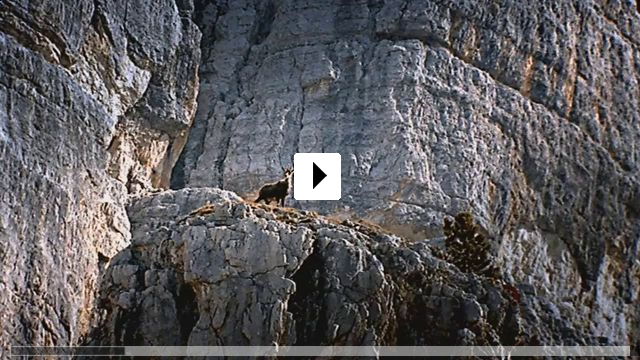Zum Video: Die Alpen - Im Reich des Steinadlers
