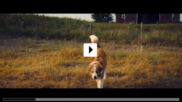 Zum Video: Bailey - Ein Hund kehrt zurck