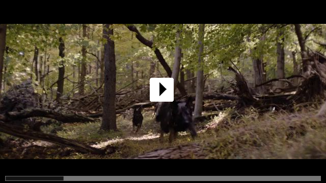 Zum Video: Wildling