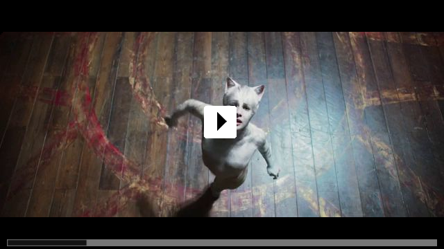 Zum Video: Cats