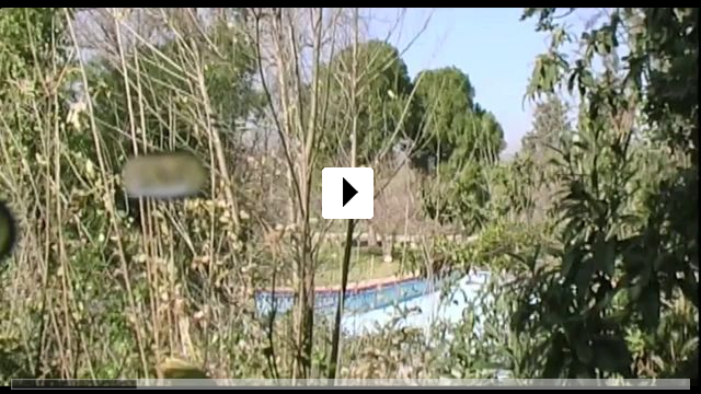 Zum Video: Swimmingpool am Golan