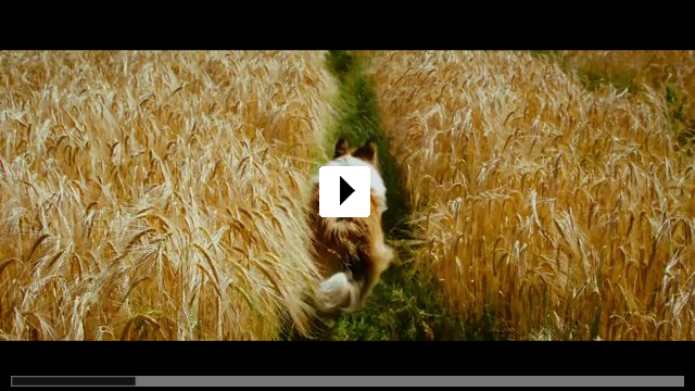 Zum Video: Lassie - Eine abenteuerliche Reise