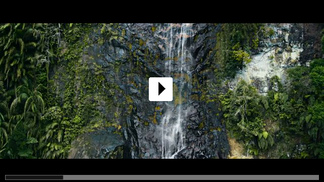 Zum Video: Die Stimme des Regenwaldes