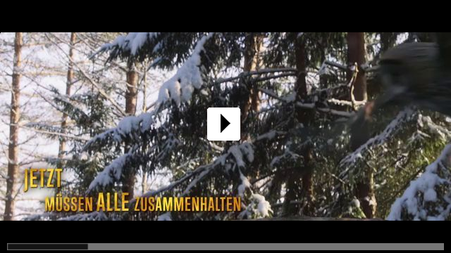 Zum Video: Weihnachten im Zaubereulenwald