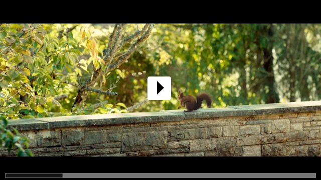 Zum Video: Die Vergesslichkeit der Eichh�rnchen