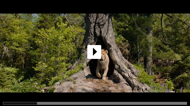 Zum Video: Der Wolf und der Löwe