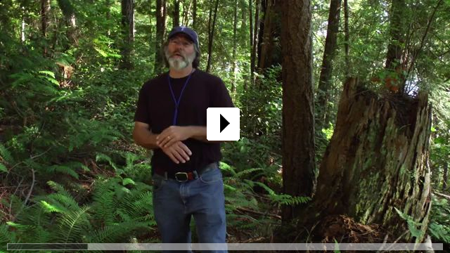 Zum Video: Fantasische Pilze - Die magische Welt zu unseren Fen