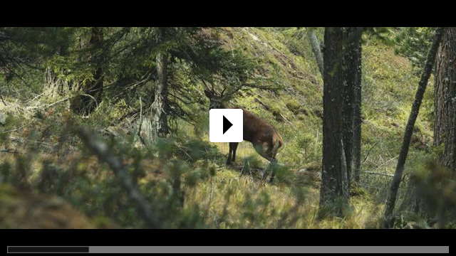 Zum Video: Wild - Jäger und Sammler