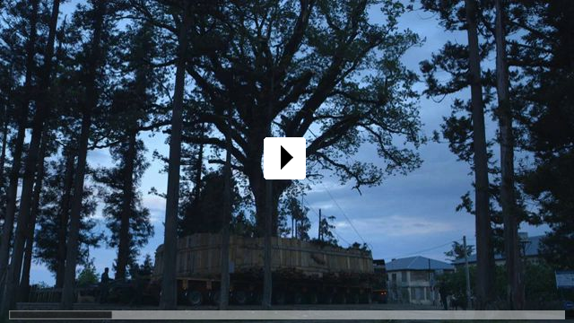 Zum Video: Die Zähmung der Bäume