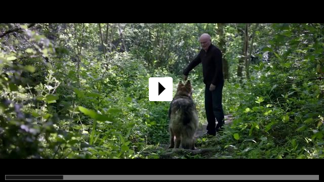 Zum Video: Mit Herz und Hund