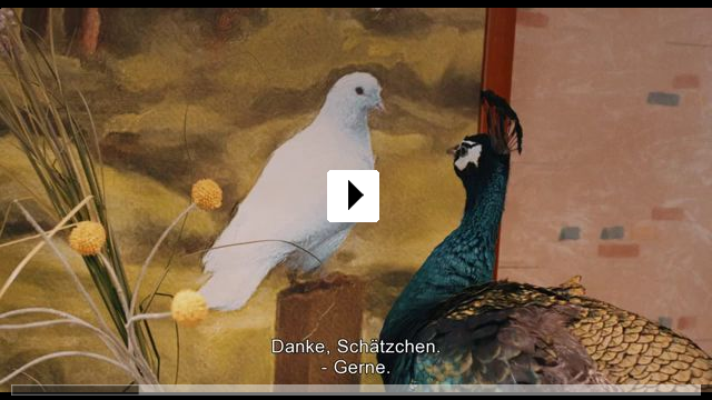 Zum Video: Das Pfauenparadies