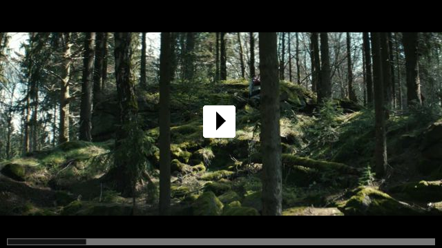 Zum Video: Schweigend steht der Wald