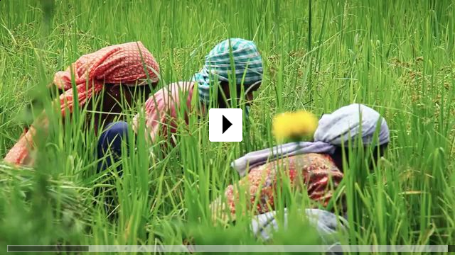 Zum Video: Vandana Shiva - Ein Leben fr die Erde