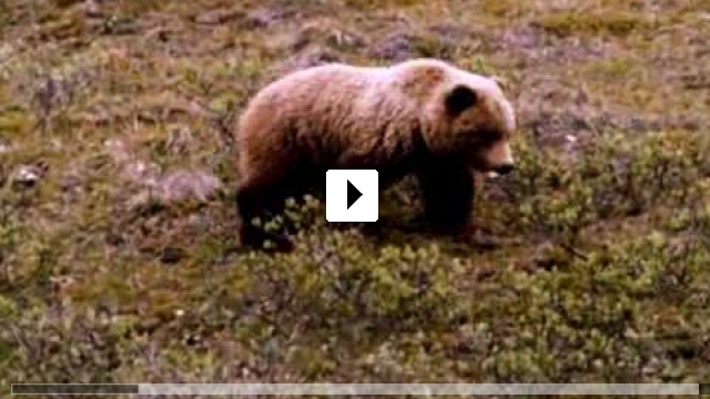 Zum Video: Alaska - Wildnis am Rande der Welt