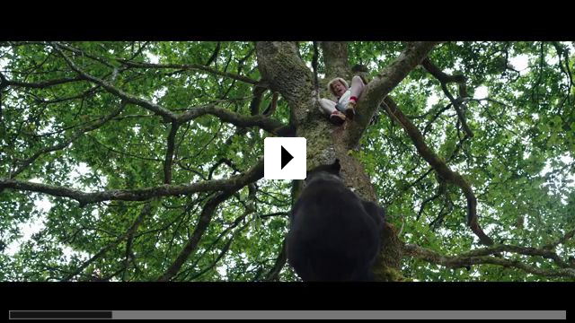 Zum Video: Cocaine Bear