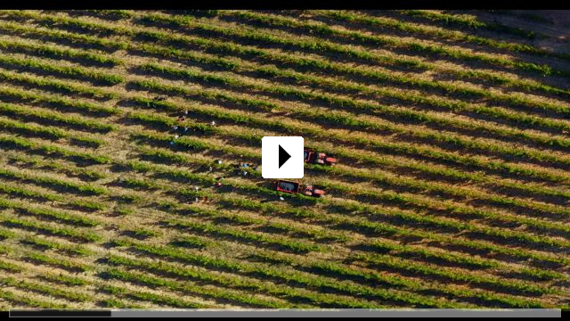 Zum Video: Terroir - Eine genussvolle Reise in die Welt des Weins