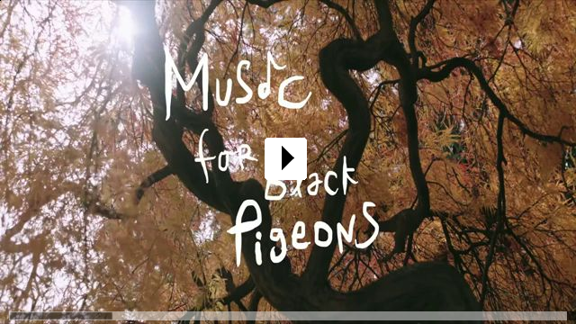 Zum Video: Music for Black Pigeons