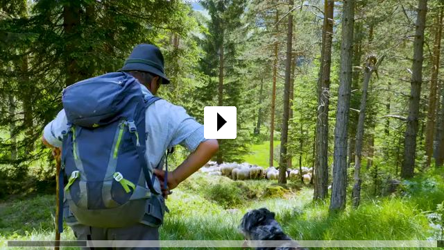Zum Video: Schafstage - Im Karwendel mit den Mittenwalder Schfern