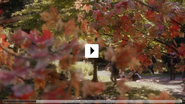 Zum Video: Herbstzauber in New York