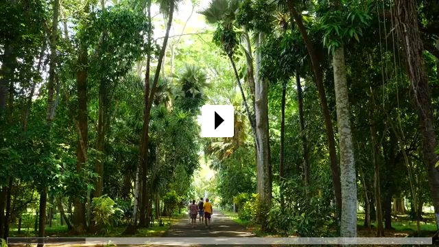 Zum Video: Mauritius - Die Fernwehmacher unterwegs im Tropenparadies