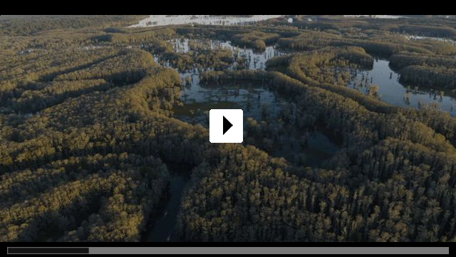 Zum Video: Caddo Lake