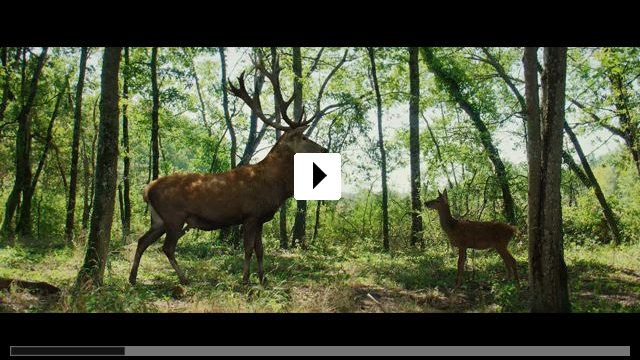 Zum Video: Bambi - Eine Lebensgeschichte aus dem Wald