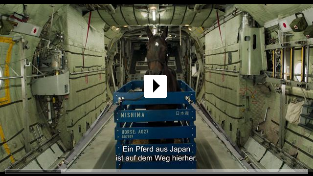 Zum Video: Kill the Jockey