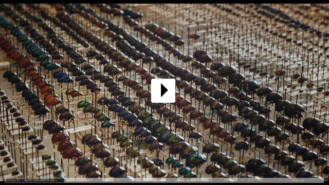 Zum Video: Archiv der Zukunft