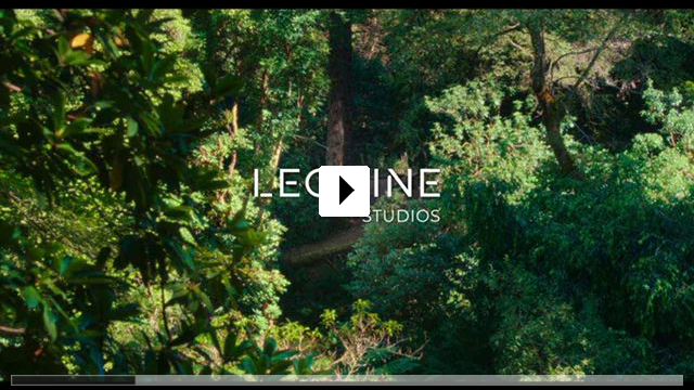 Zum Video: Together
