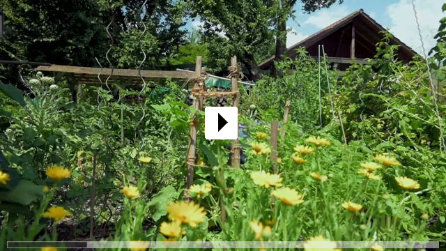 Zum Video: Die Treibende Kraft